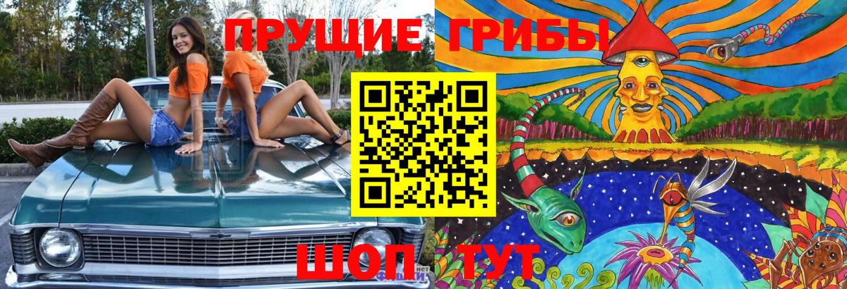 Галлюциногенные грибы MAGIC MUSHROOMS Десногорск