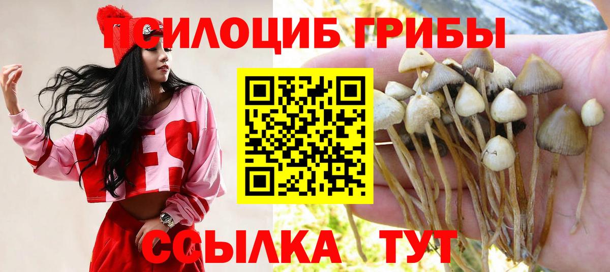 Галлюциногенные грибы ЛСД  Вход с VPN  Десногорск 